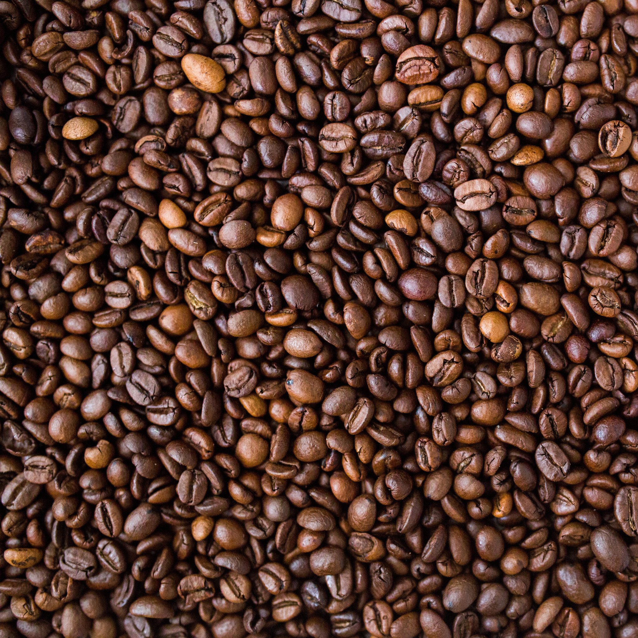 Cuban Serrano Coffee Ethically Sourced Fair Trade Freshly Roaste